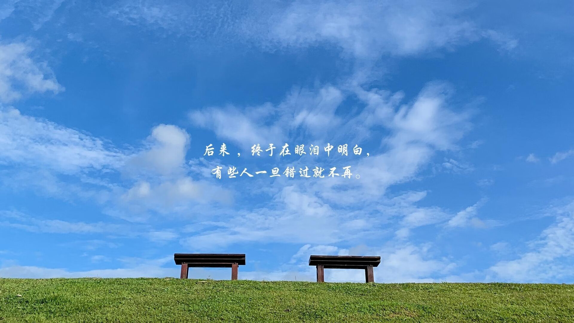 跨越大洋的篮球之约，深圳队对阵骑士，西亚卡姆贡献制胜表现