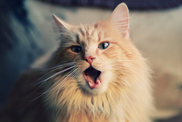 无名门迪一球定乾坤，英超争冠夜，平凡英雄取代豪杰剧本