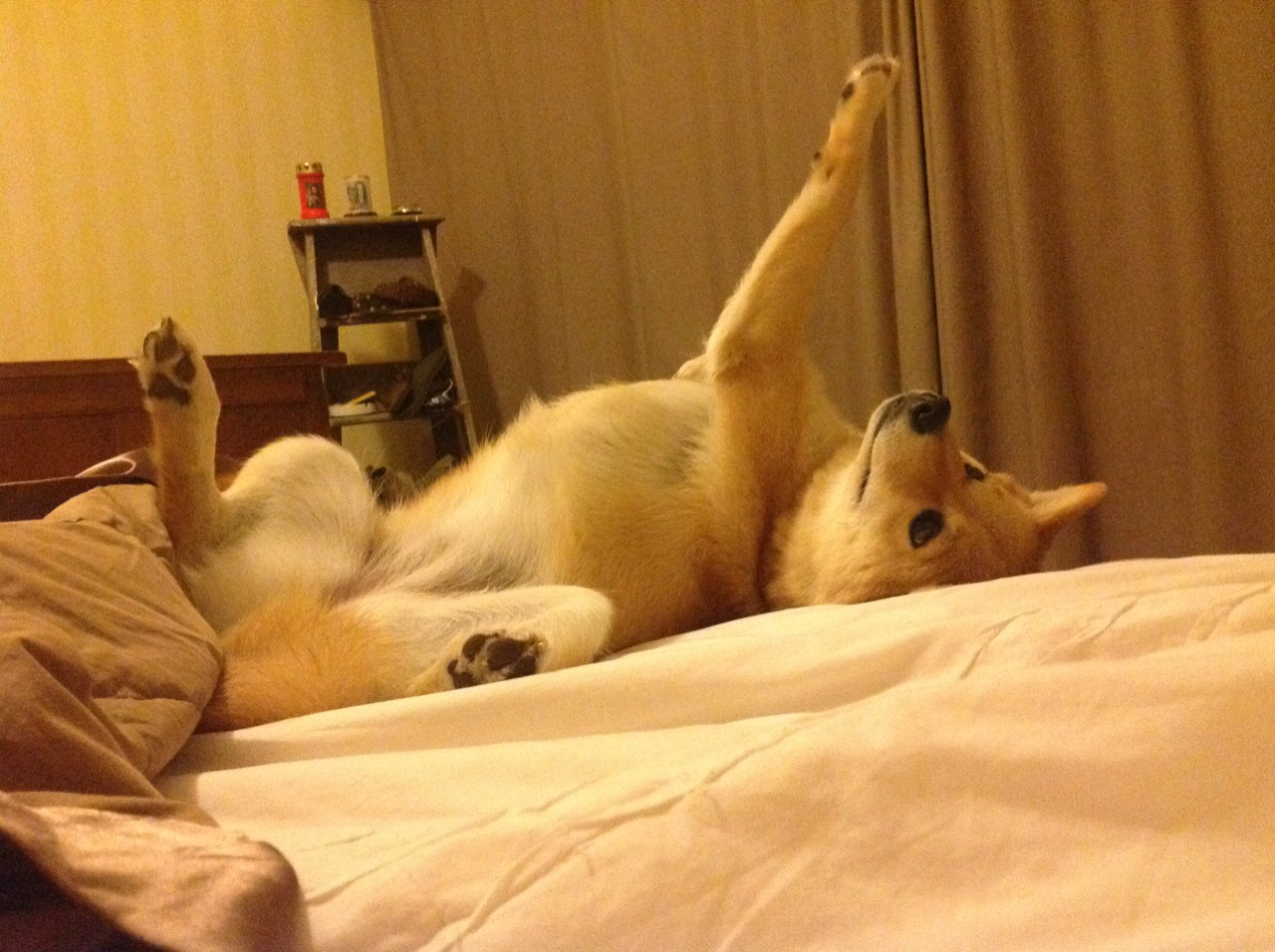 胜利天平的两端，团队飓风与冰冷手术刀