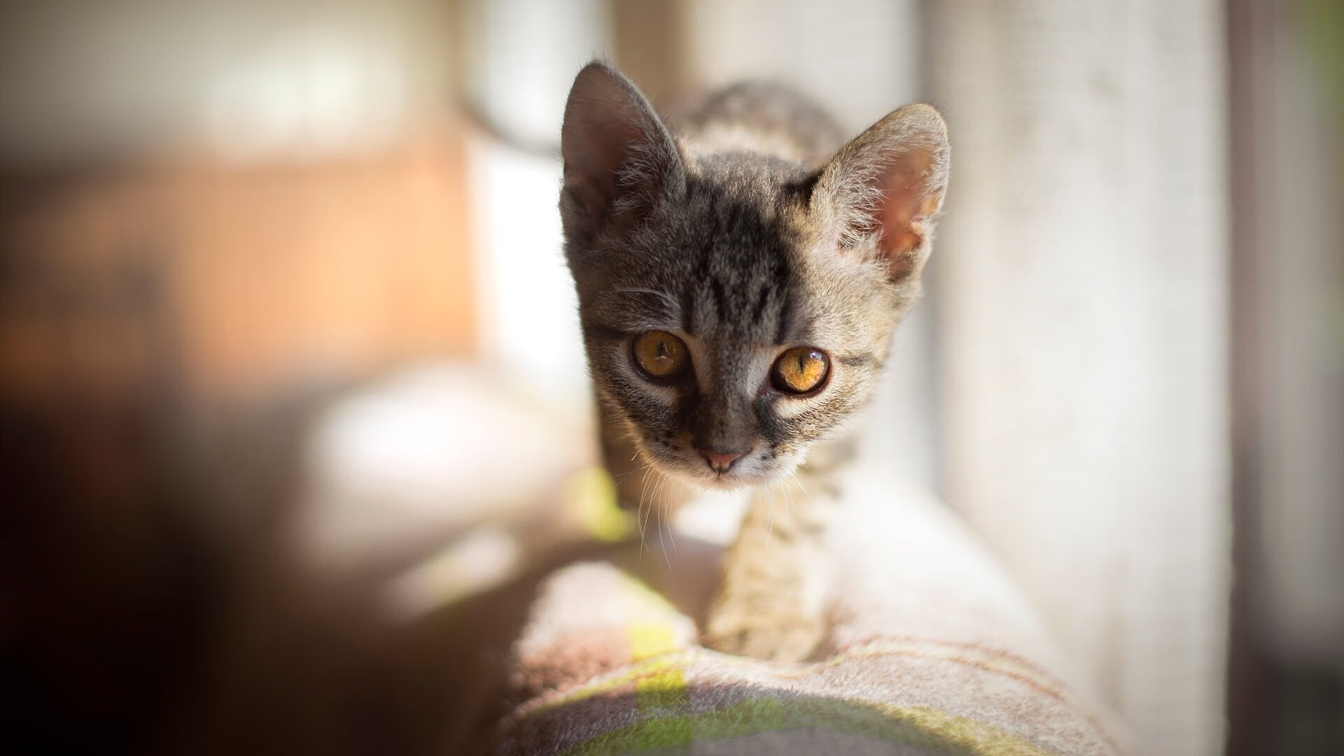 锁死与接管，当防守哲学遇上个人英雄主义