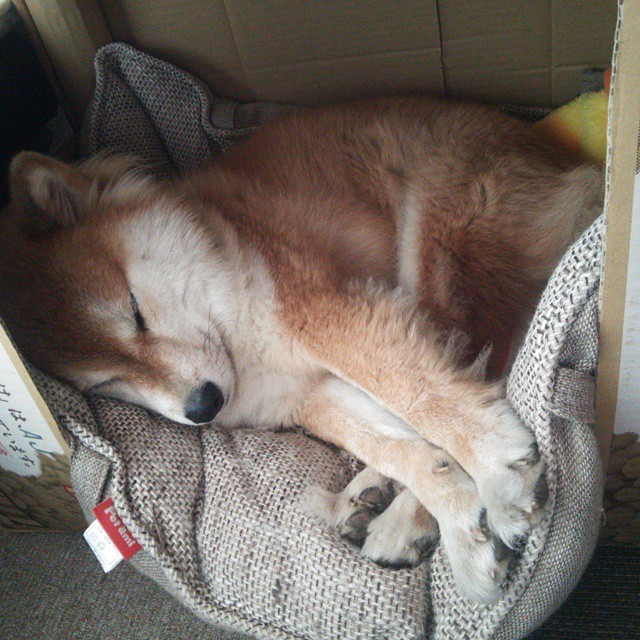 冻结天空与撕裂大地，当字母哥的存在感撞上开拓者的铁血防守