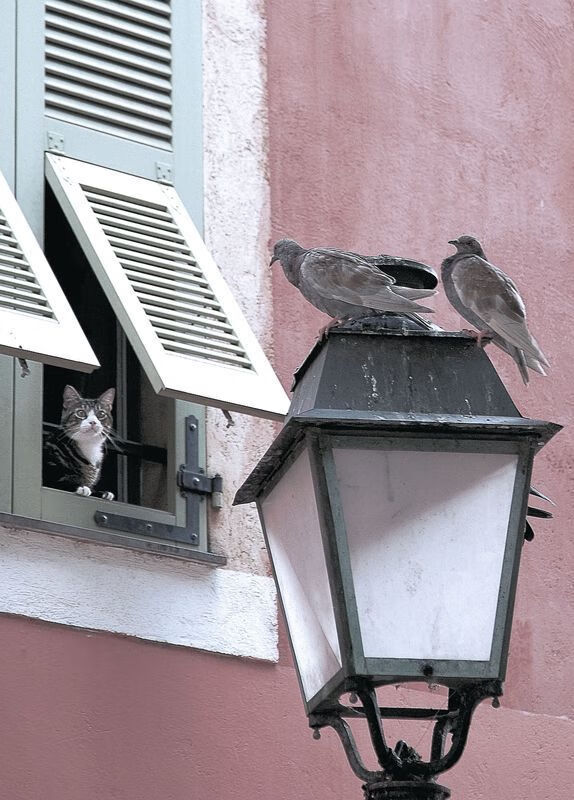 世界版图上的悬崖之战，独行侠险胜76人背后的排名暗涌