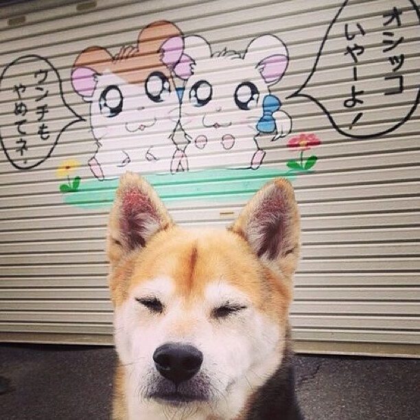 当圣马梅斯在巴黎醒来，毕尔巴鄂竞技史诗加时，铸就百年首冠