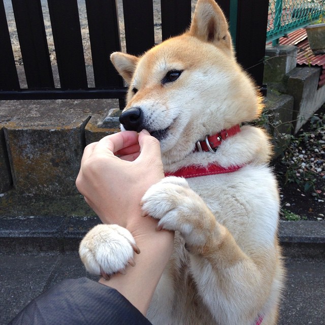 无锋阵的喘息,沉默的震撼!孔德高能输出改写西德战术对话