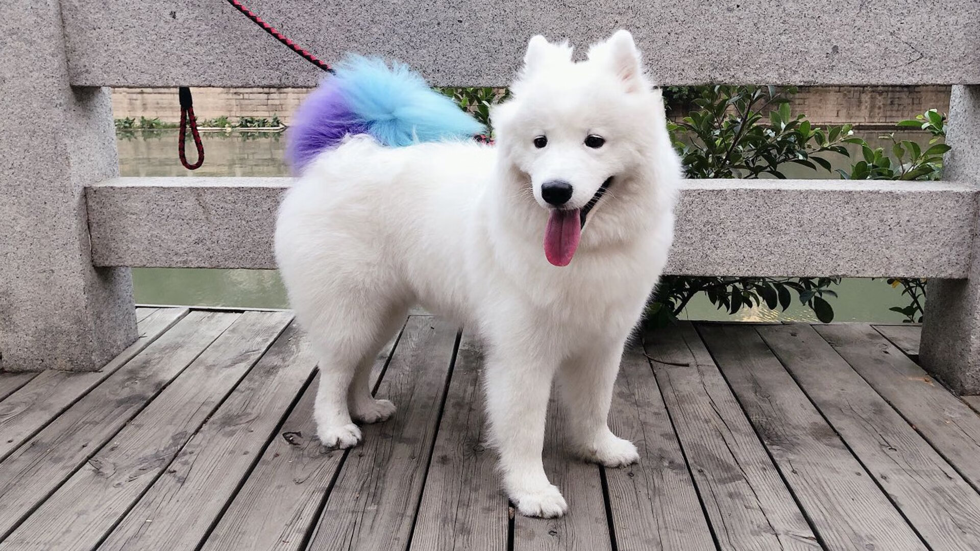 孤星闪耀麦迪逊，当战术失效时，英雄拔剑出鞘