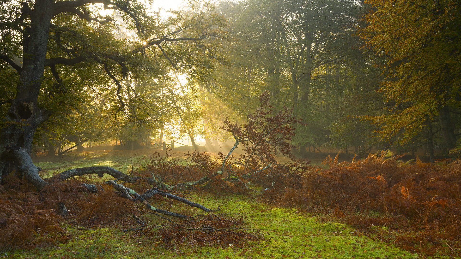 篮球式绝杀！平行时空，新疆男篮跨界险胜美国奇才，引爆美加墨世界杯另类焦点战