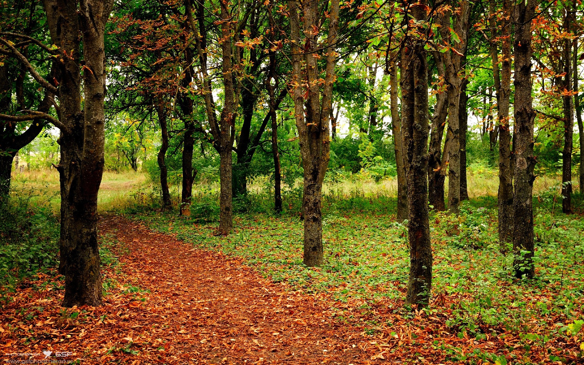 当巴斯托尼锁死阿根廷尖刀,皇家社会的攻势足球如何被一个意大利人带走