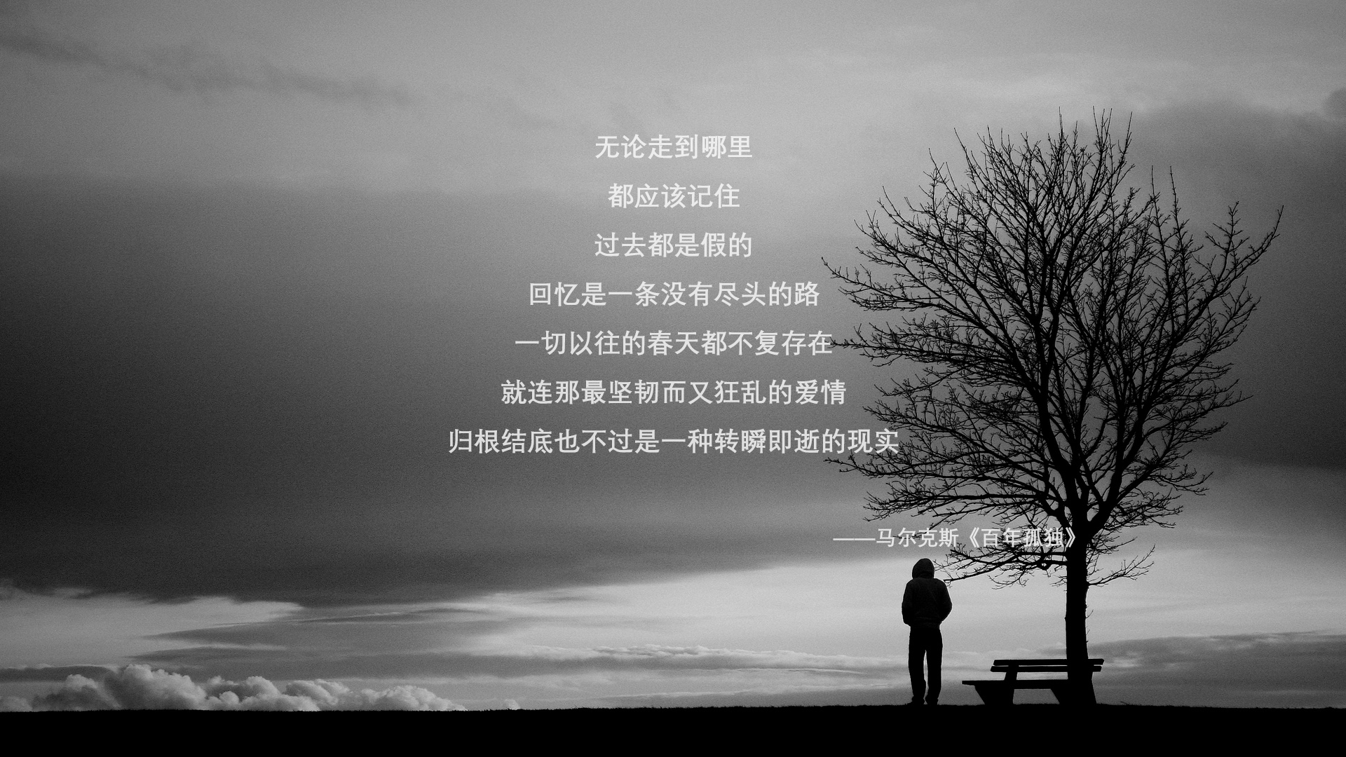 新星闪耀，帕尔默关键一击，南非友谊赛力克多特蒙德