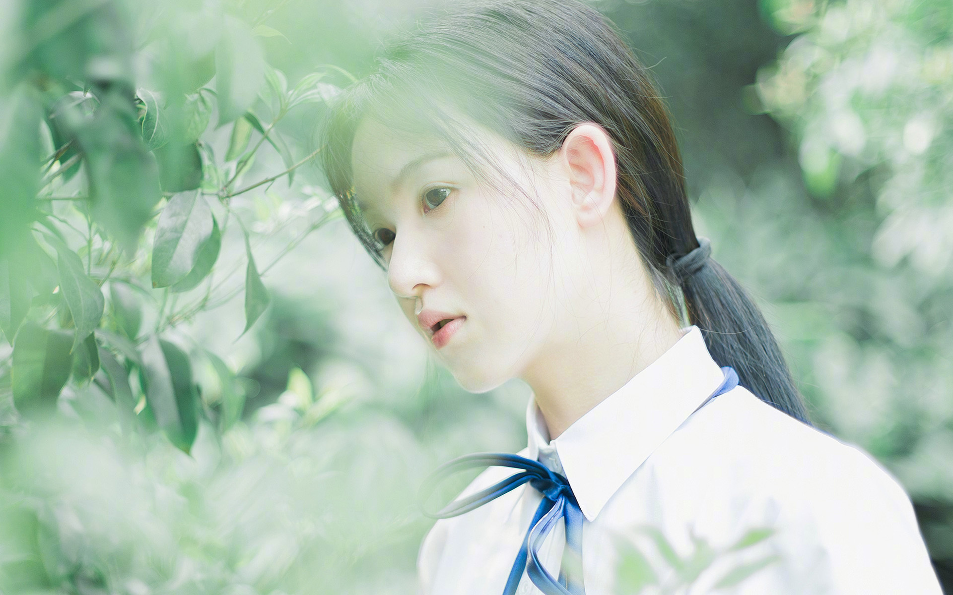 当体系沉默时,星辰便独自发光,伦纳德以古典决胜法则破解魔术铁阵