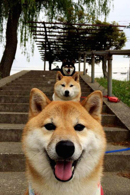 篮球世界的平行时空,当尼克斯收割勇士,西亚卡姆在世界的另一端接管比赛