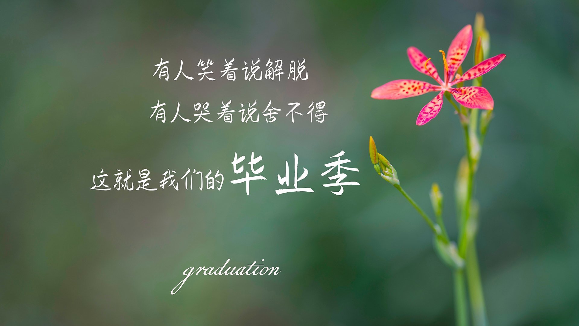 当NBA总决赛遇上CBA奇才,一场跨越太平洋的战术对话