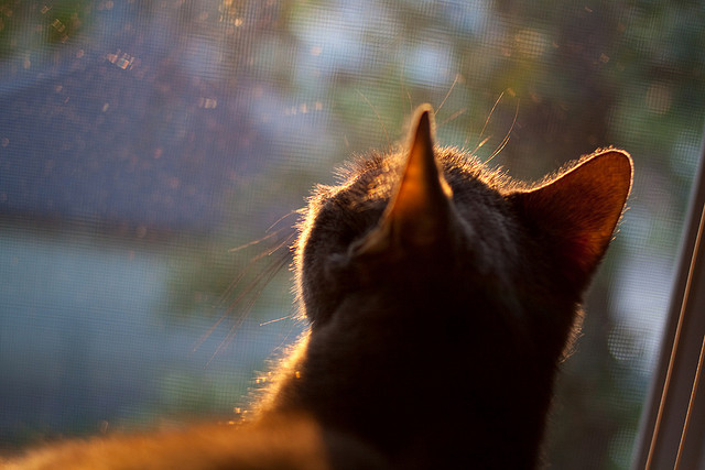 跨界表演，当火箭掀翻热火之夜，拉文在欧冠决赛接管了比赛