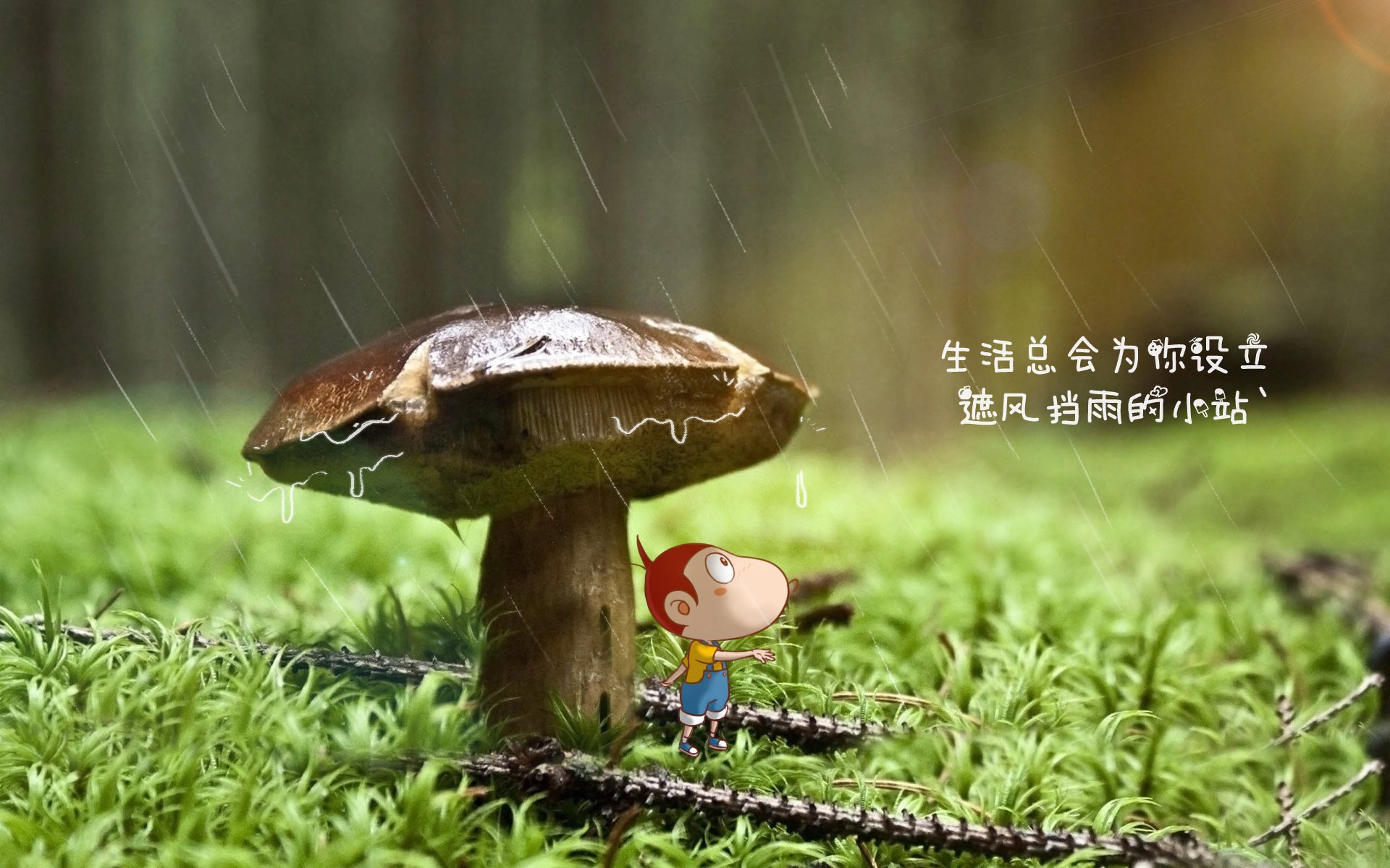 蓝衣悲歌,红魔新王,登贝莱用一场非典型胜利,为比利时黄金一代画上句号,也为H组生死战写下唯一答案
