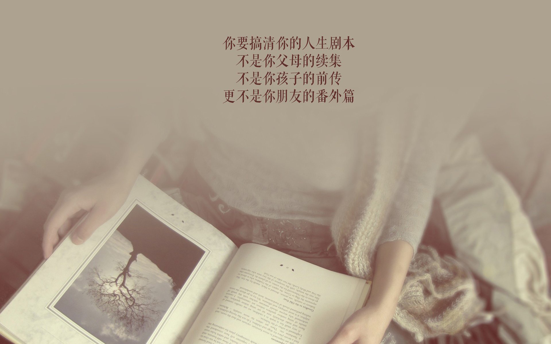 唯一之影，迪亚斯与那场撕裂时间的逆光战役